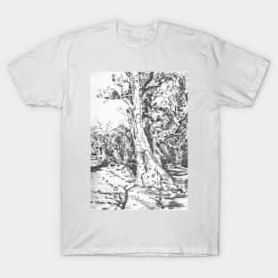 Mernmerna, Flinders Ranges T-Shirt